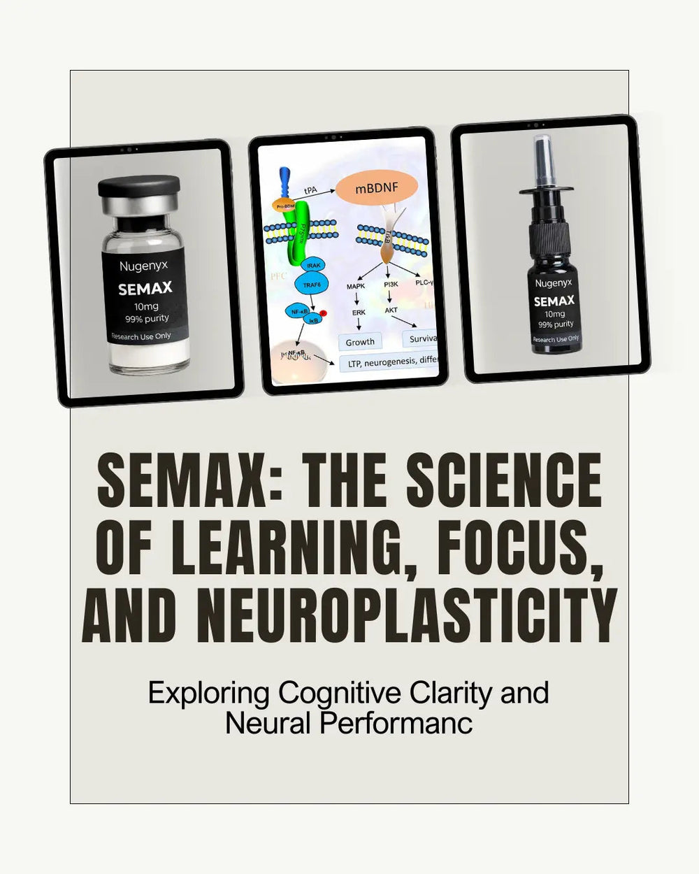 Semax Explained: Cognitive Clarity, Focus, and Russian Research