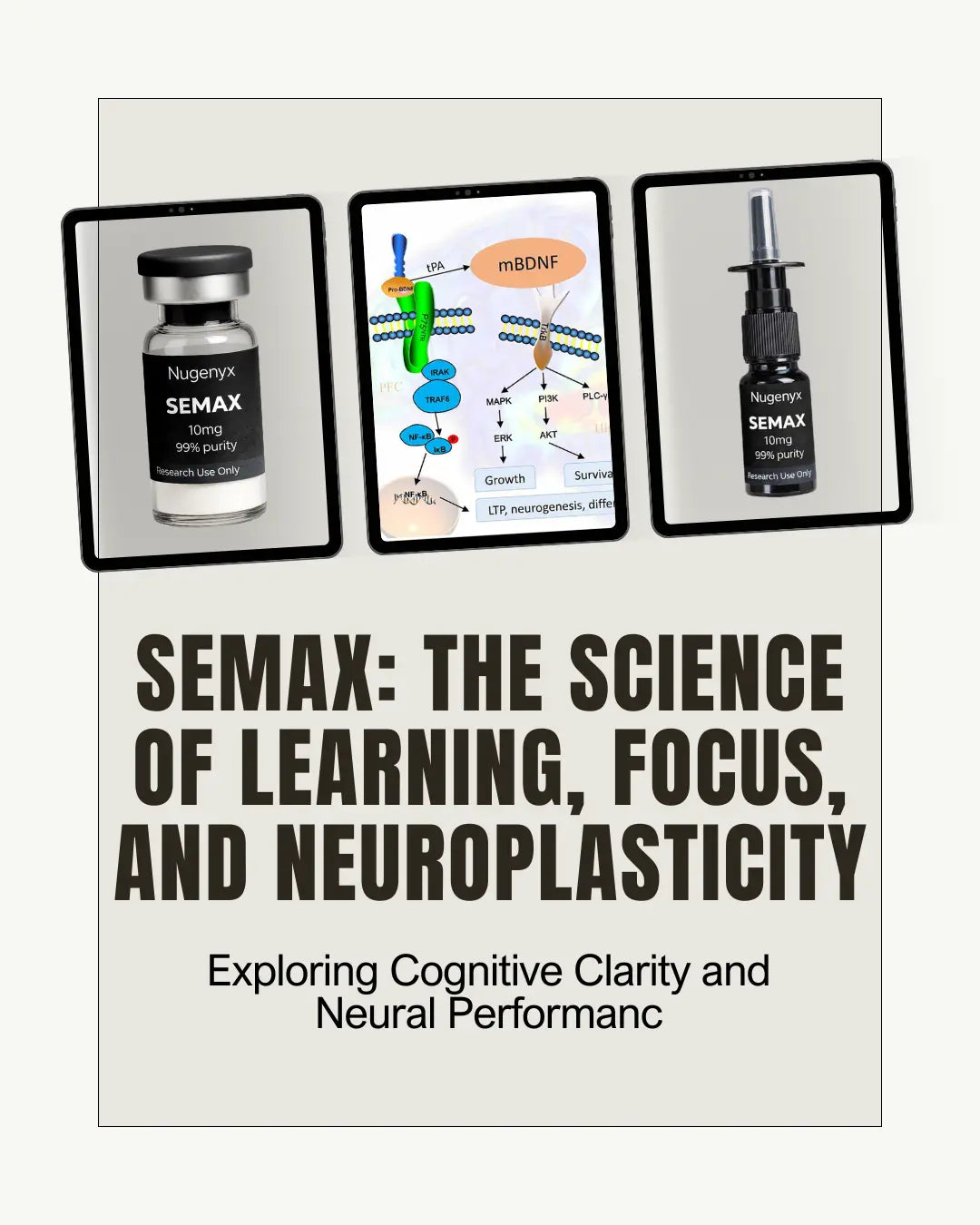 Nugenyx article graphic for Semax peptide research and cognitive signalling