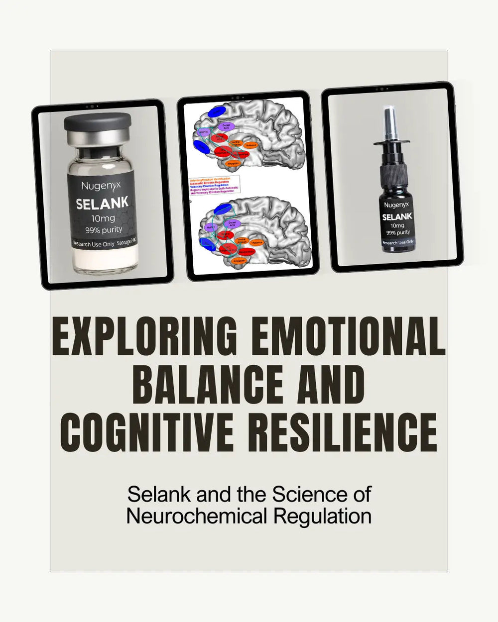 What Is Selank? A UK Guide to Selank Research and Evidence